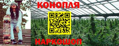 крисы Заводоуковск