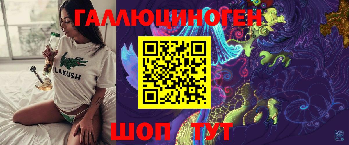 Псилоцибиновые грибы Cubensis  Можга 